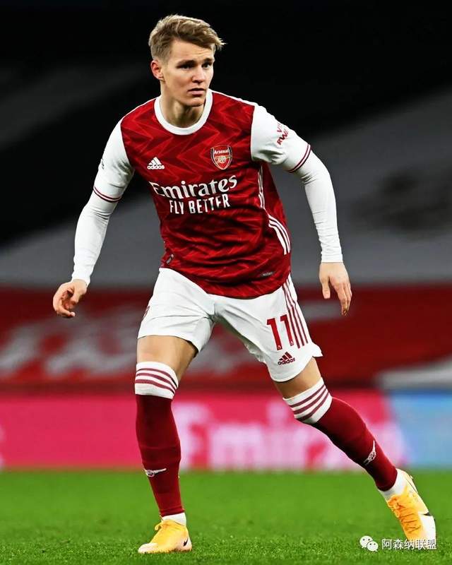回报正